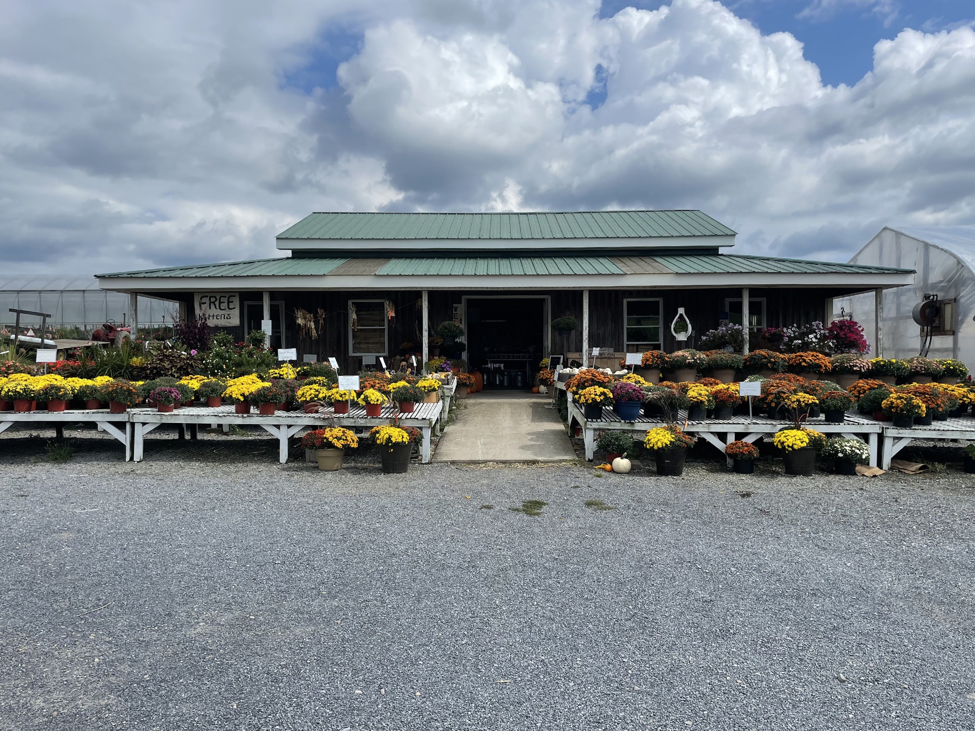 Photo Gallery Weaver’s Market in Homer City, PA